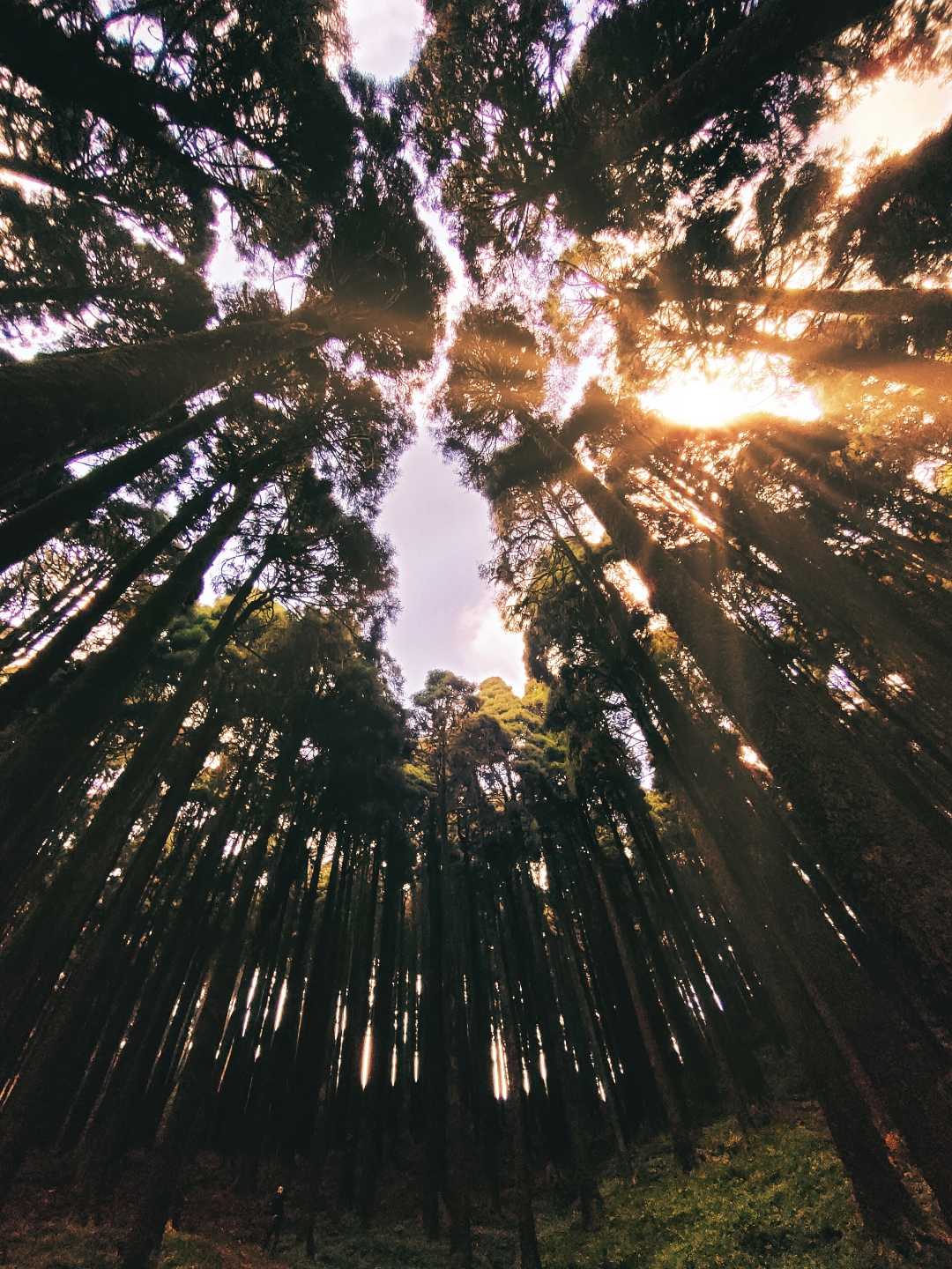 Mystic scene