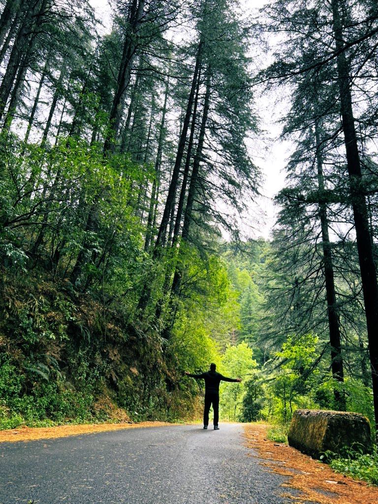 Amidst those greens…