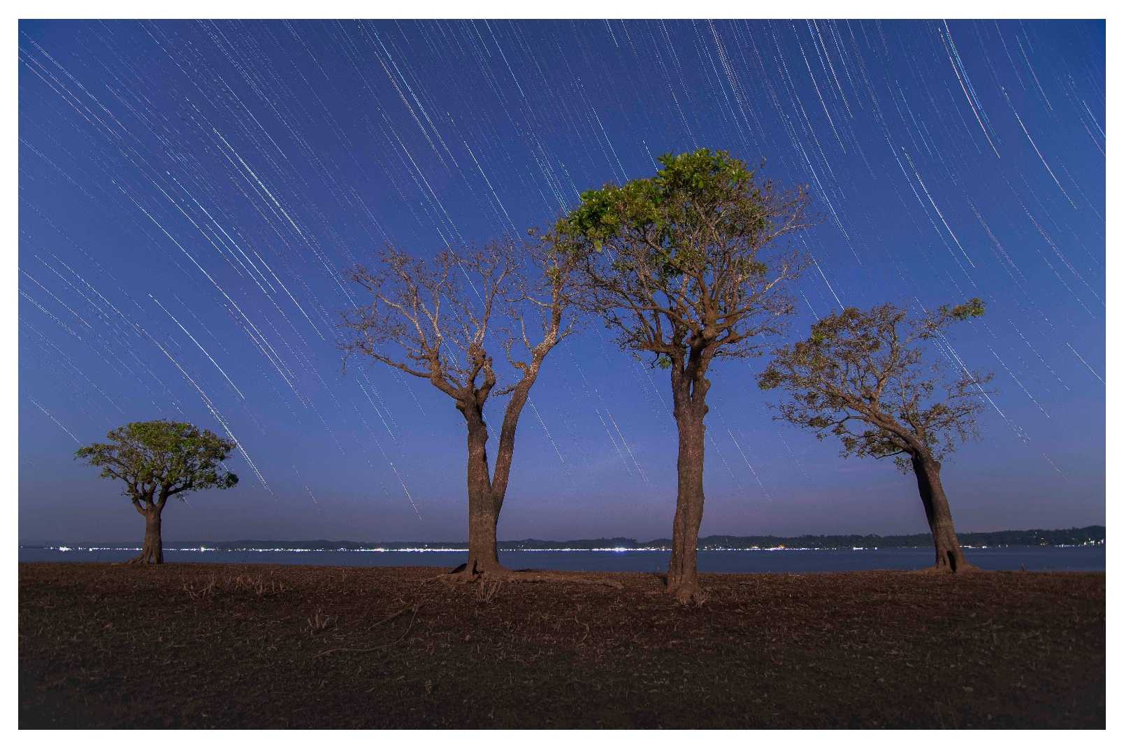 startrail