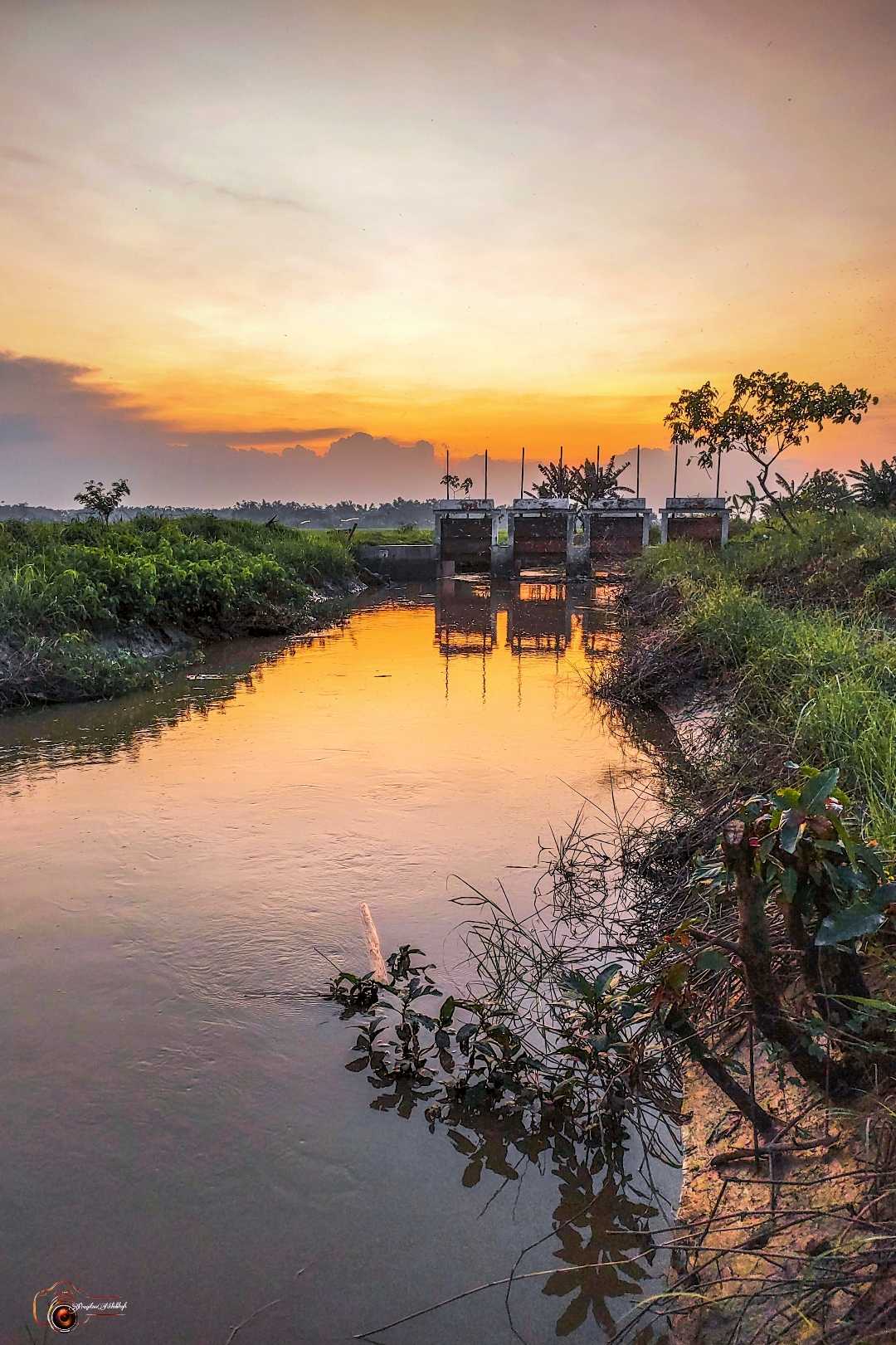 jalur irigasi persawahan
