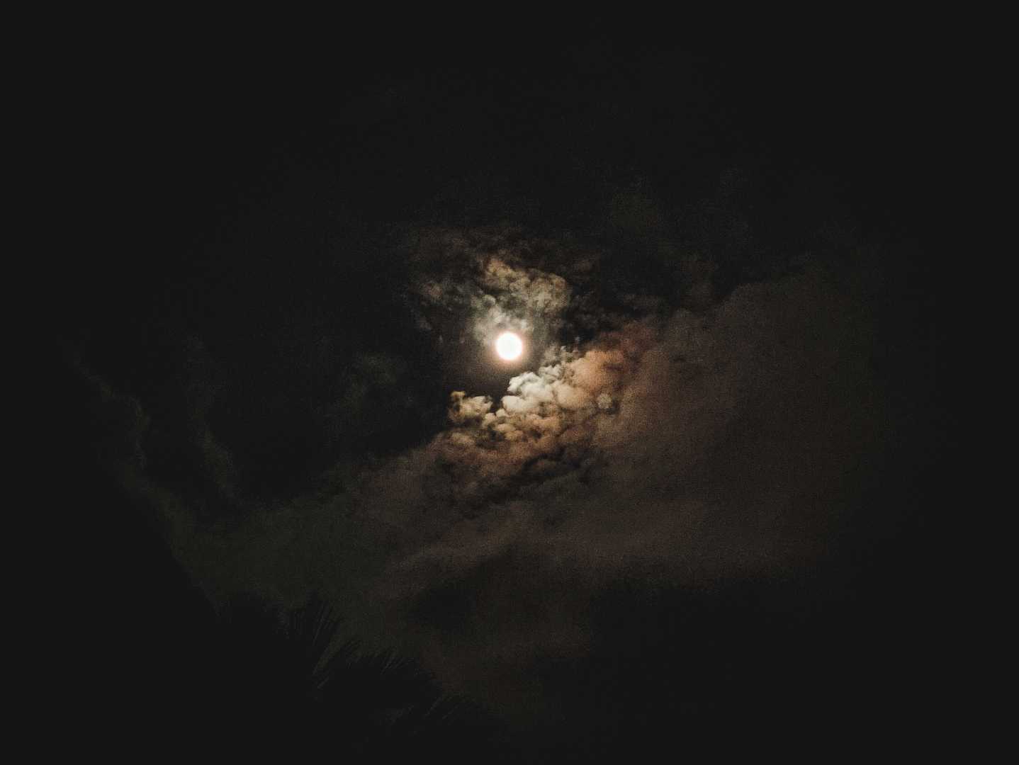 The moon shining bright against the dark night sky