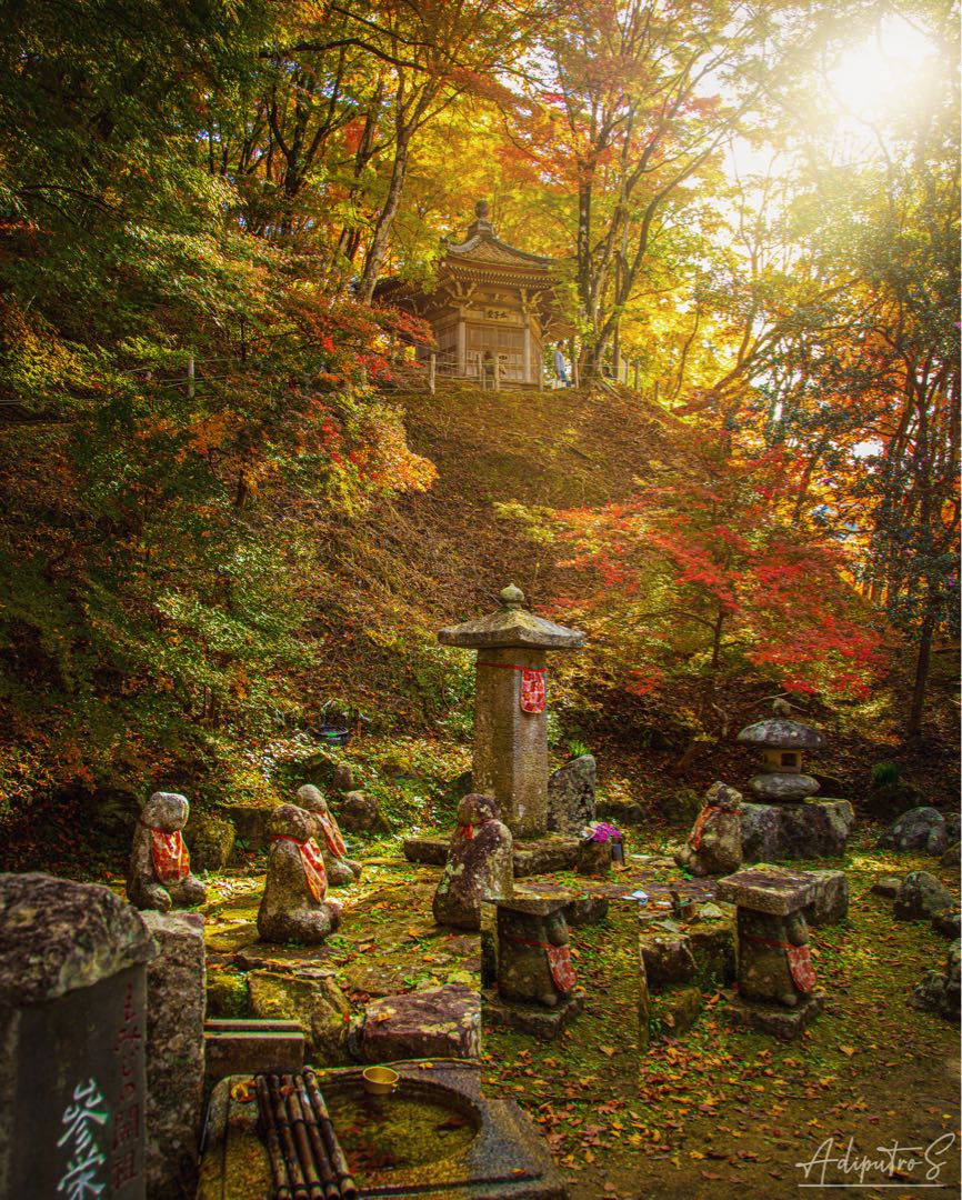 autumn in japan