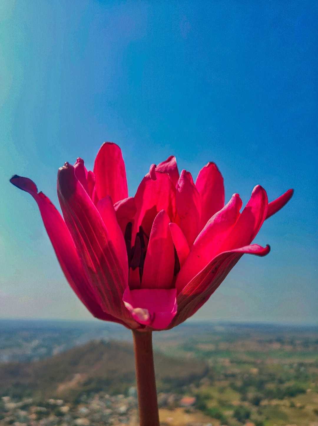 NATURE 