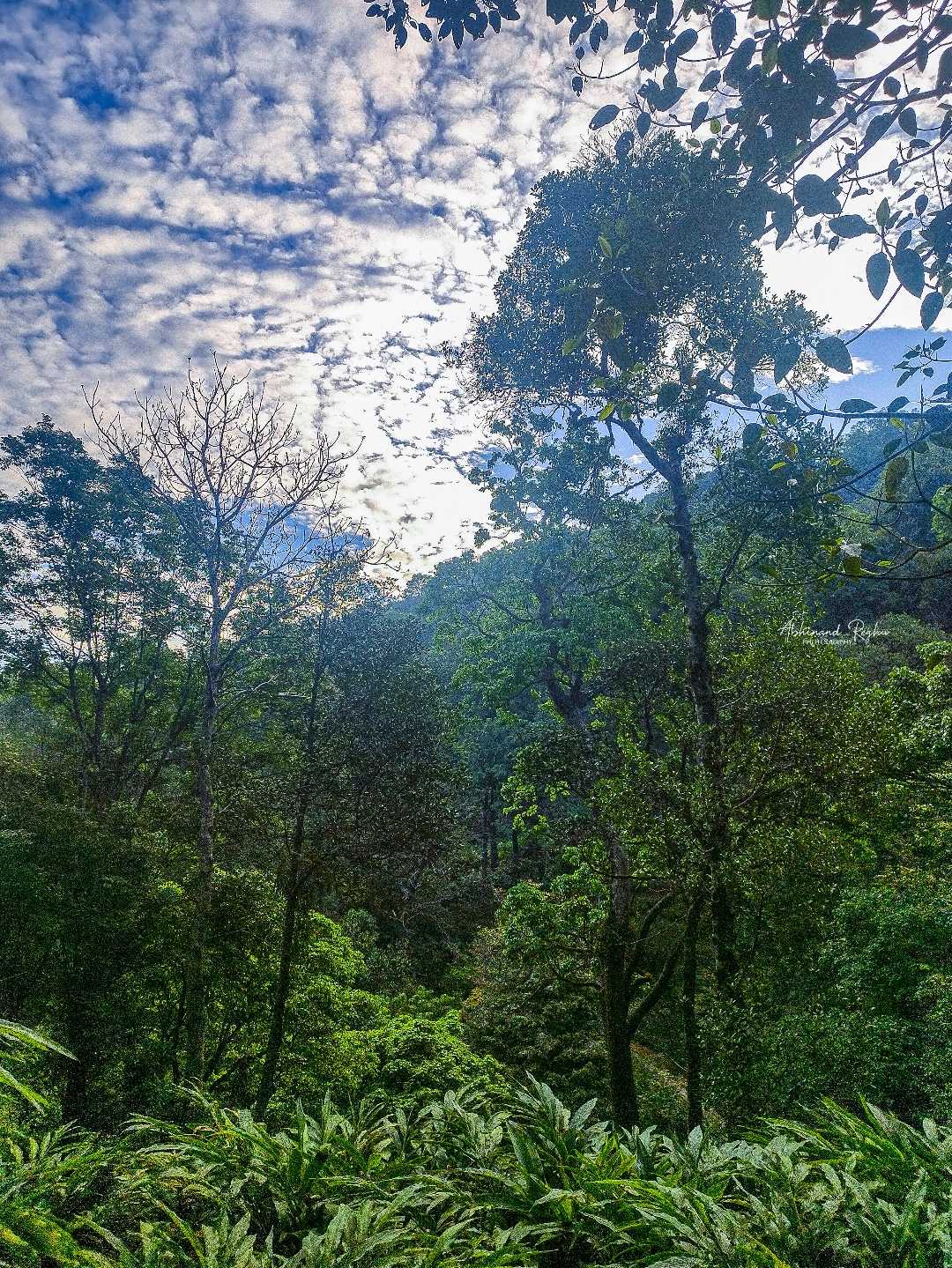 In harmony with nature