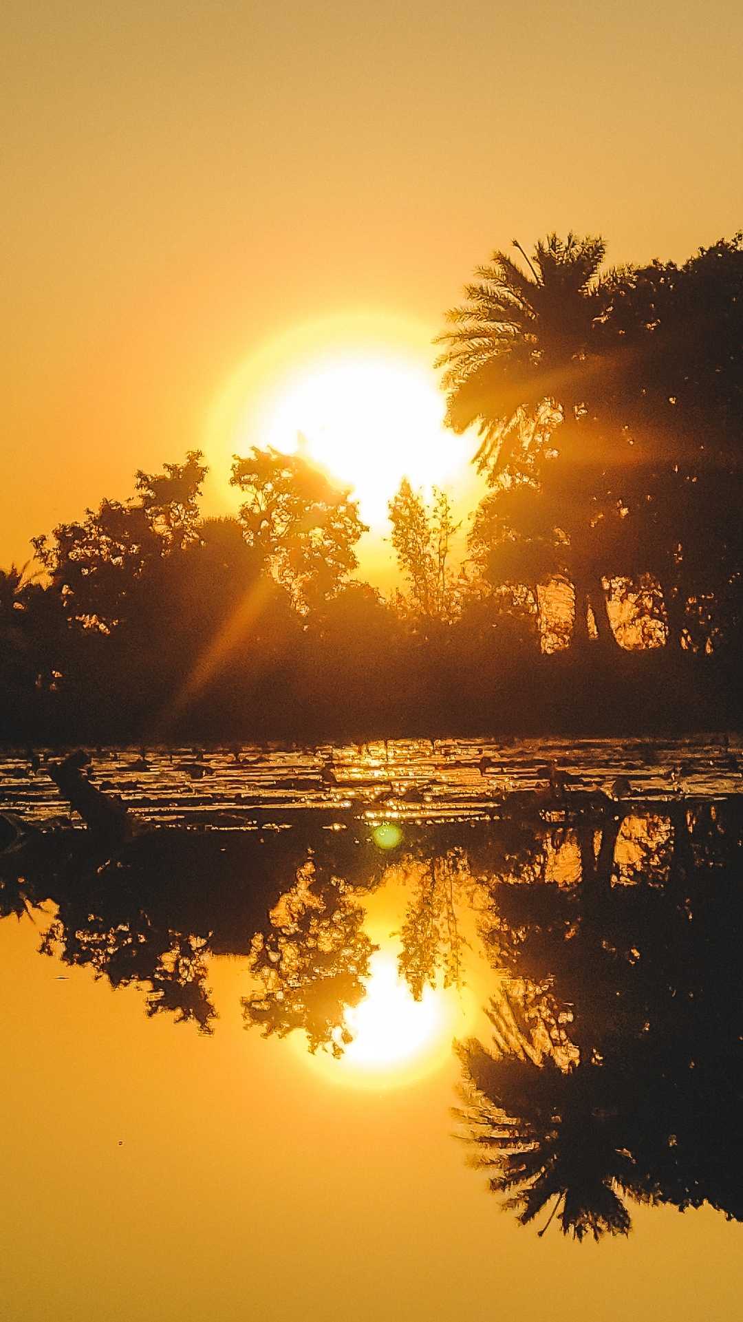 golden hour 