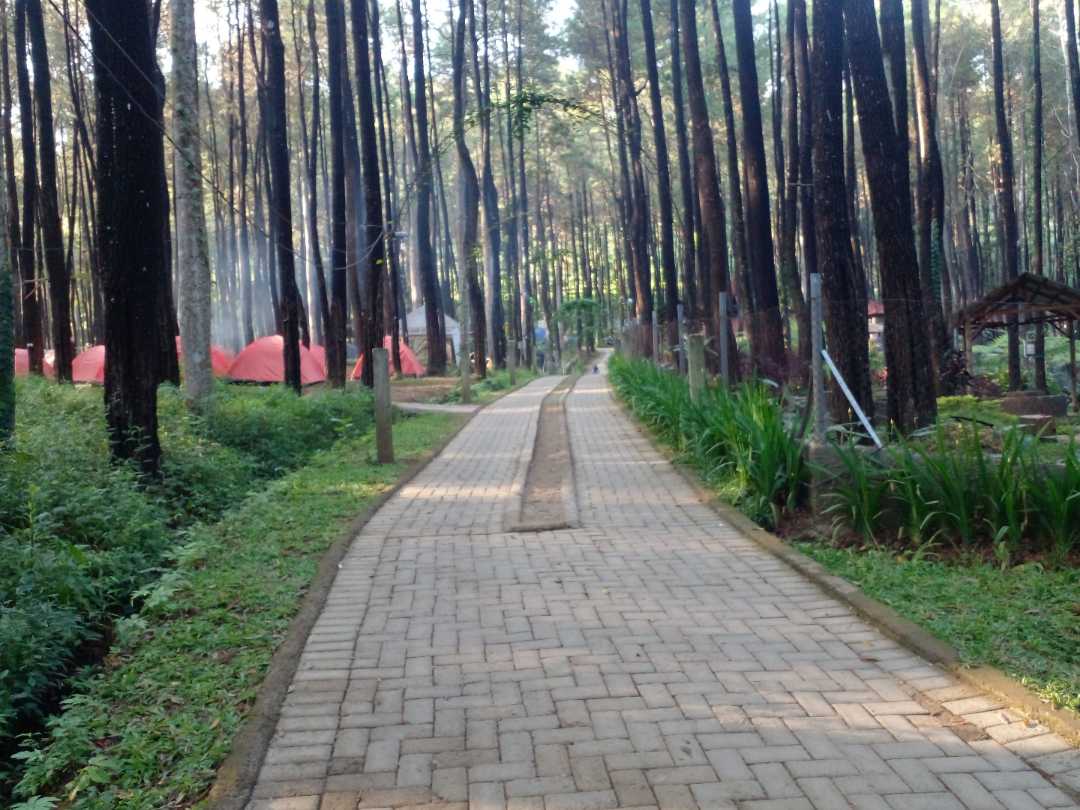 TEMPAT HEALING YANG INDAH