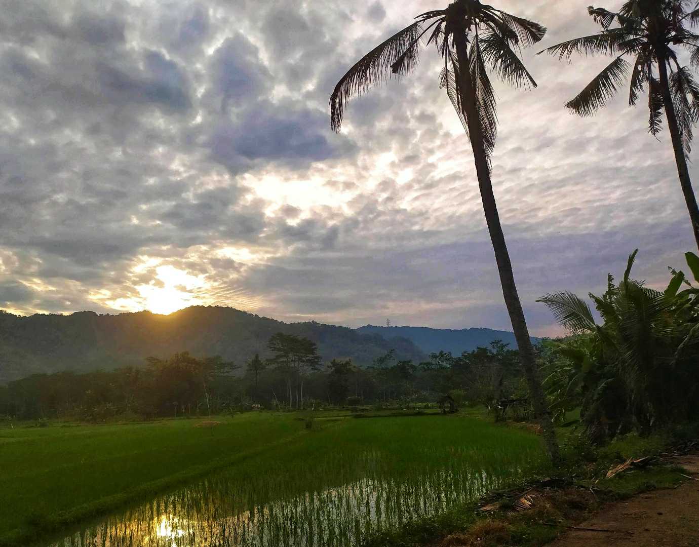 Sunrise 