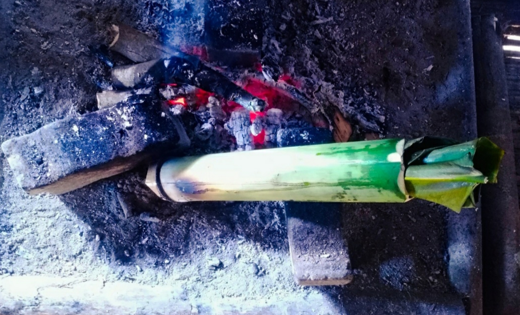 Semai Traditional Food 