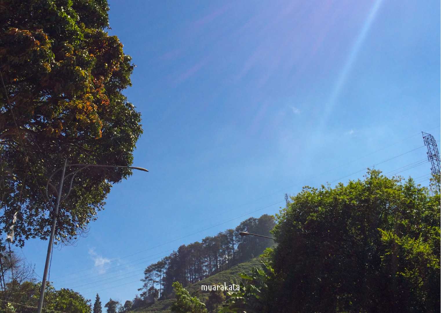 Blue Sky