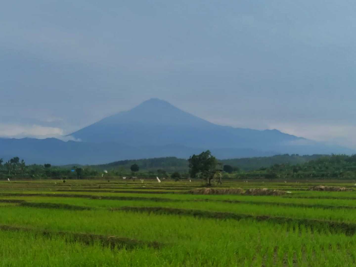 Gunung slamet
