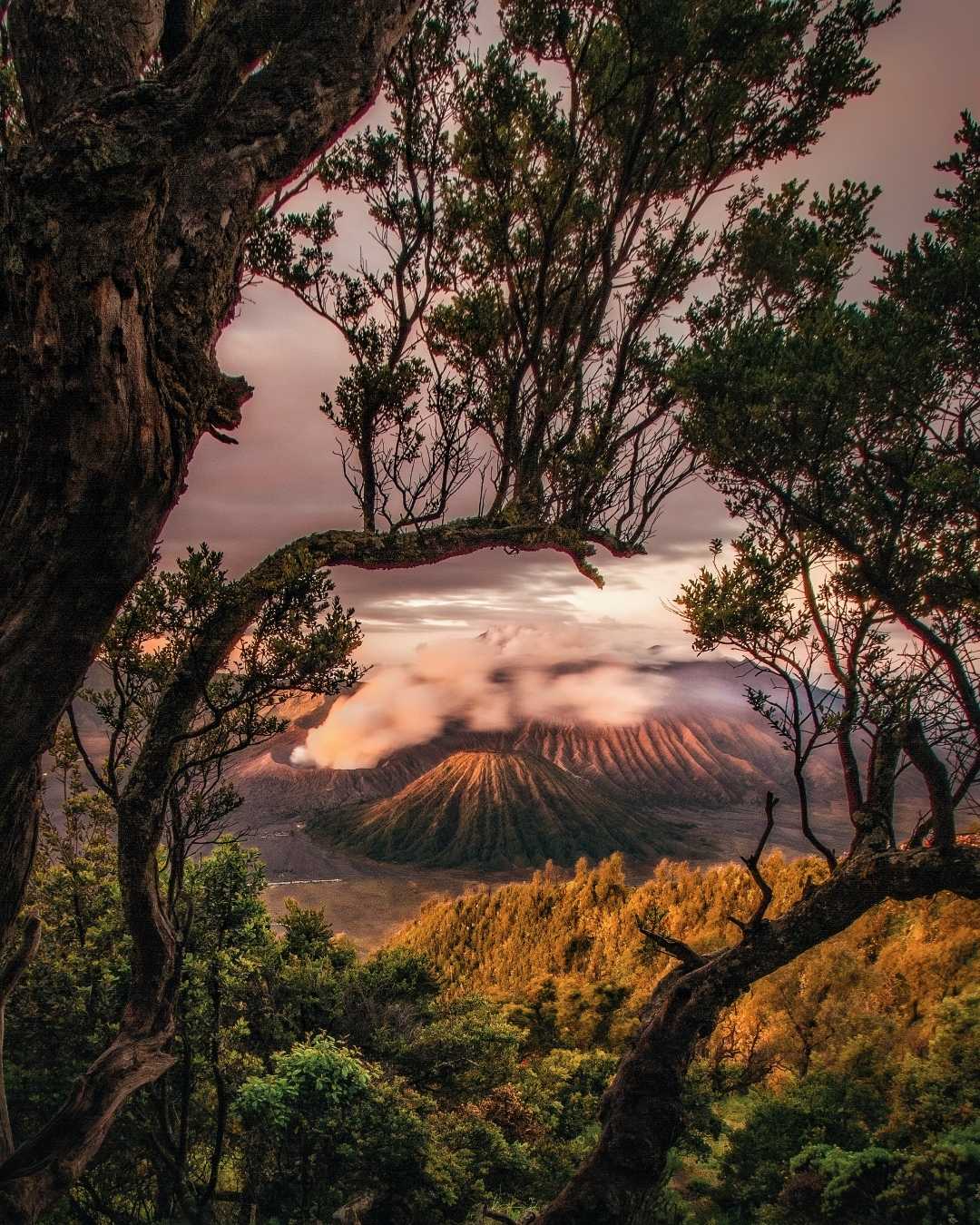Penanjakan 1 Bromo