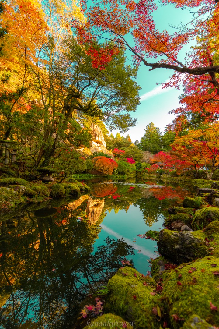 autumn colors 