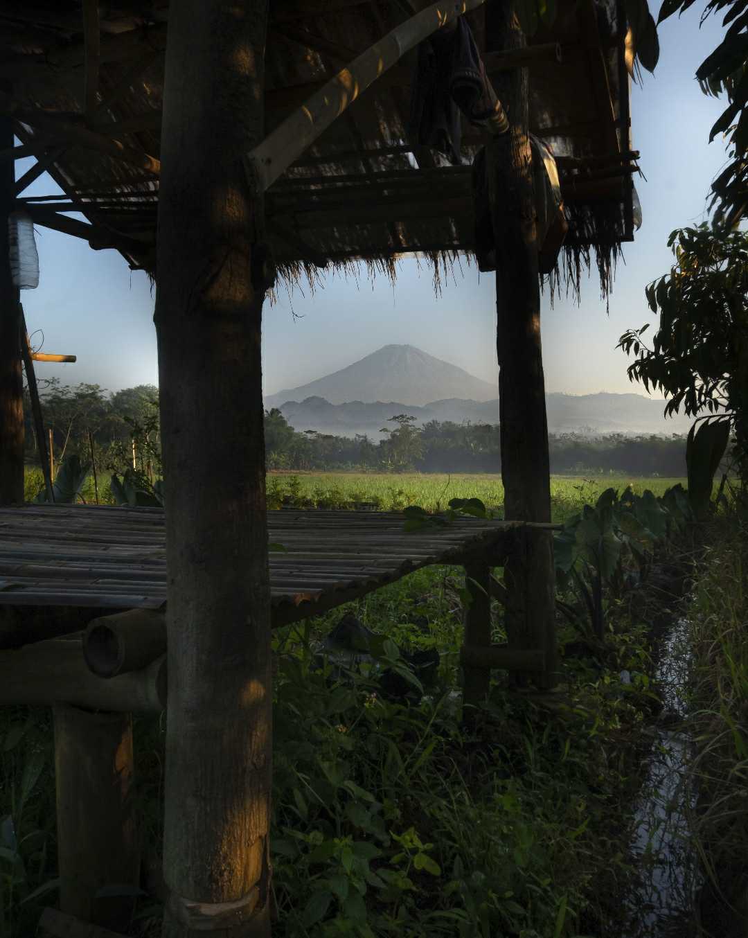 nature mountain view