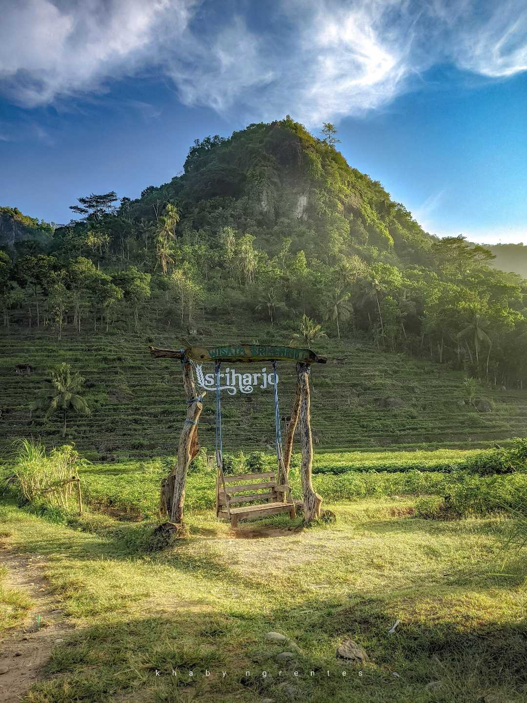    Landscape