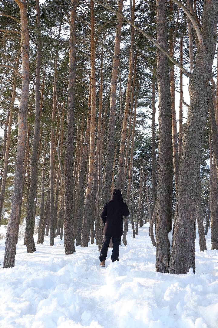 Abant🌲