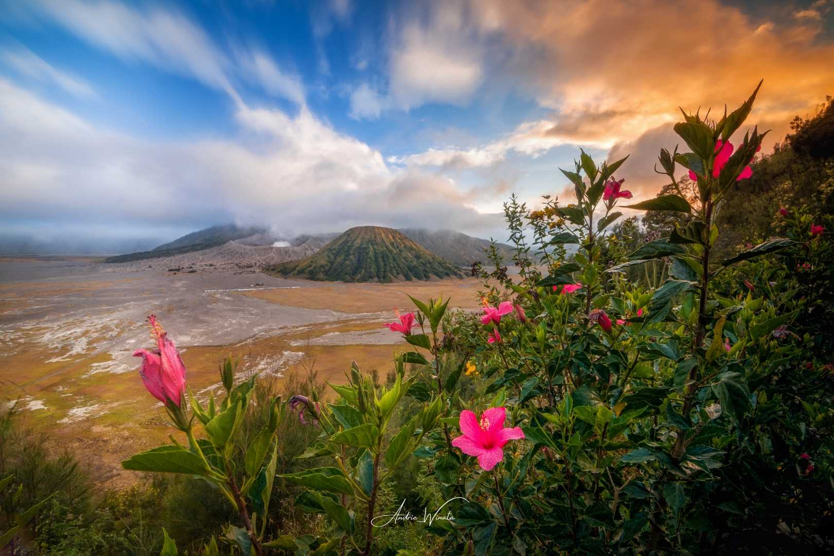 Seruni Point Bromo
