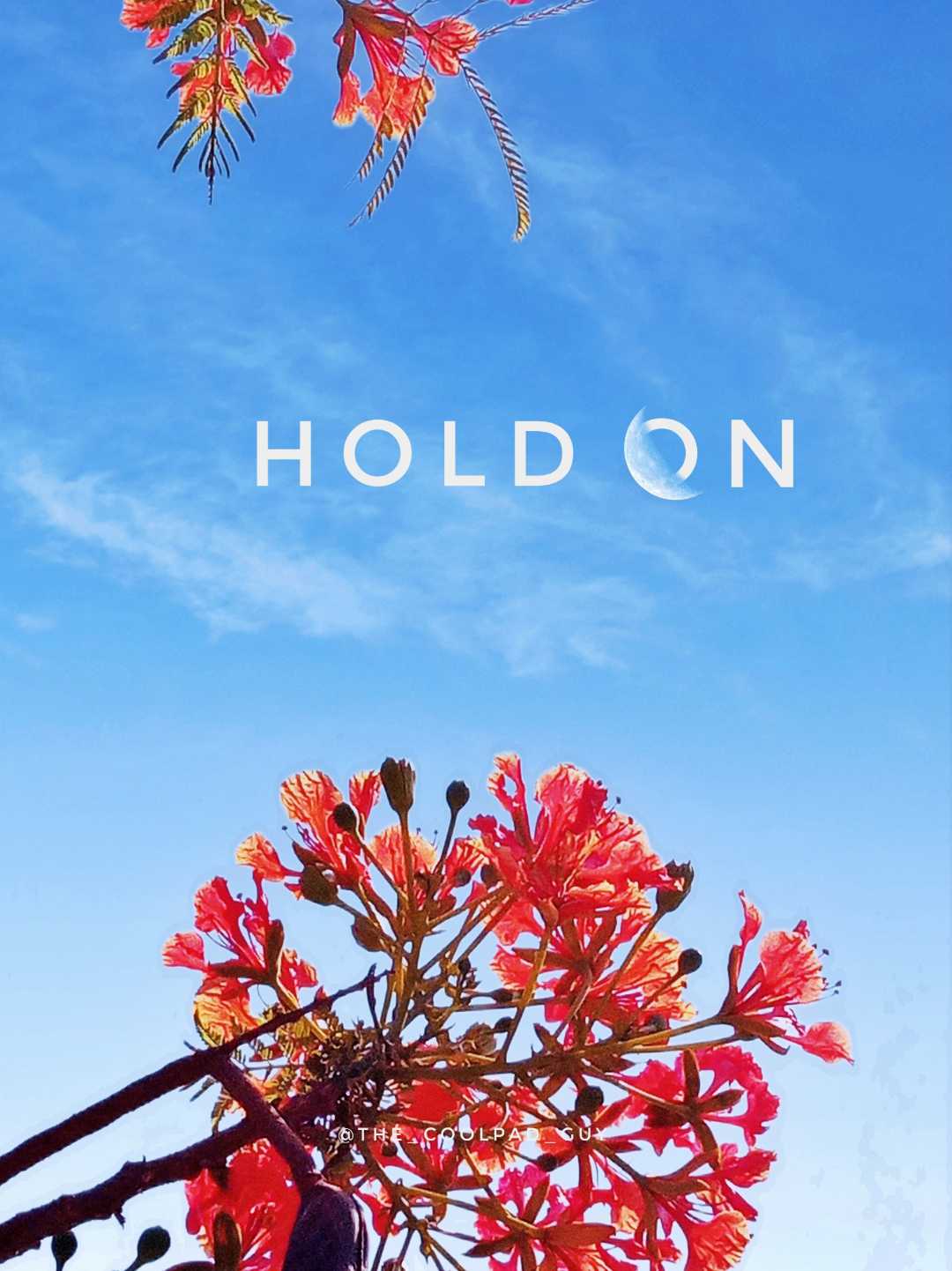 Hold on! 