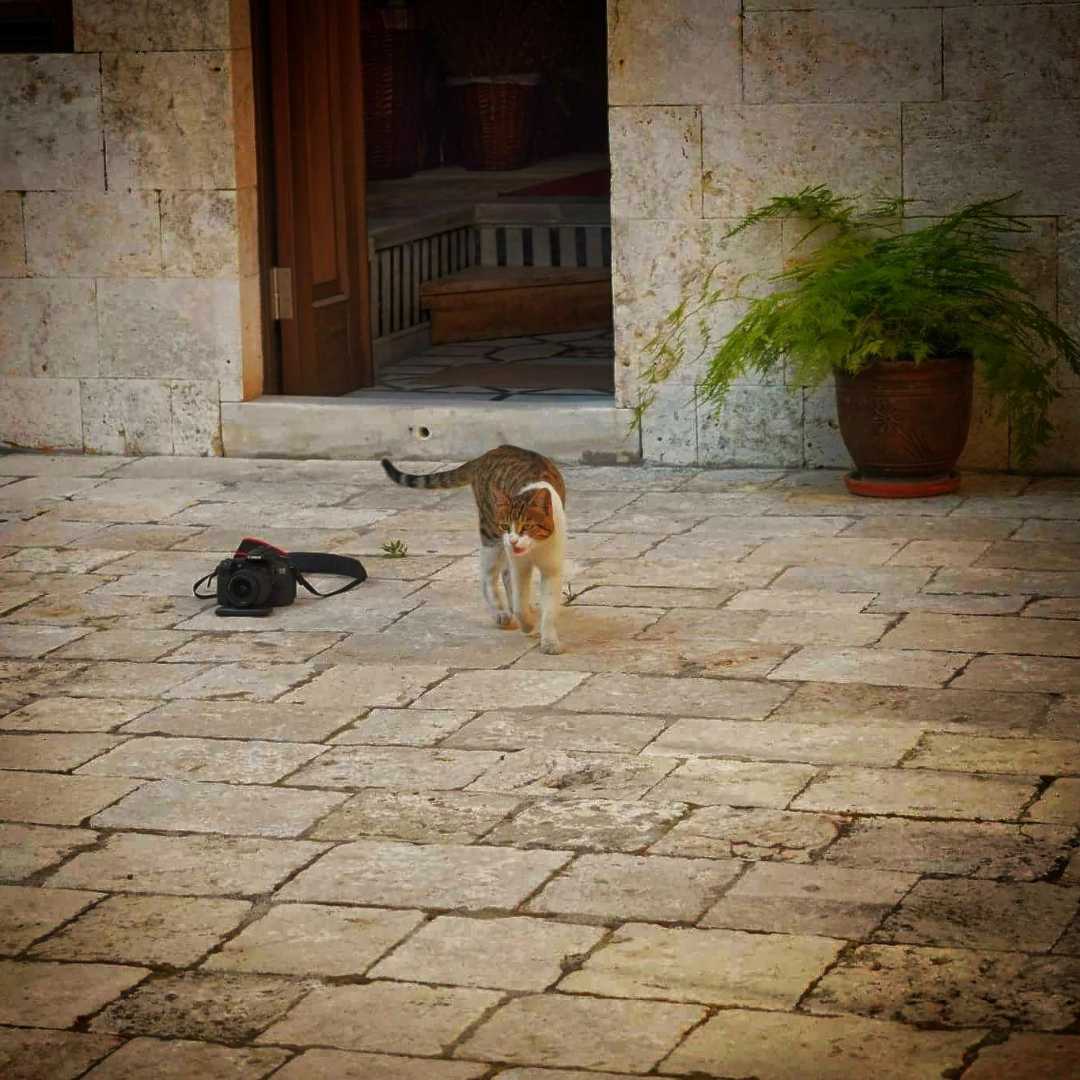 Bitki Müzesi...