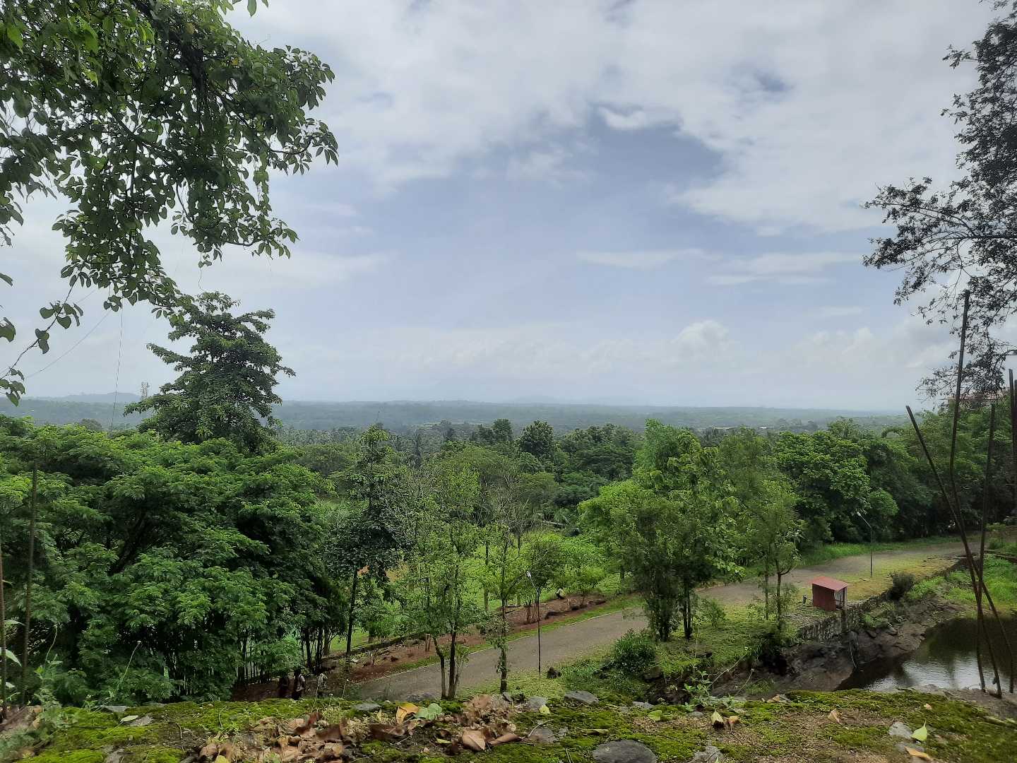 view from high