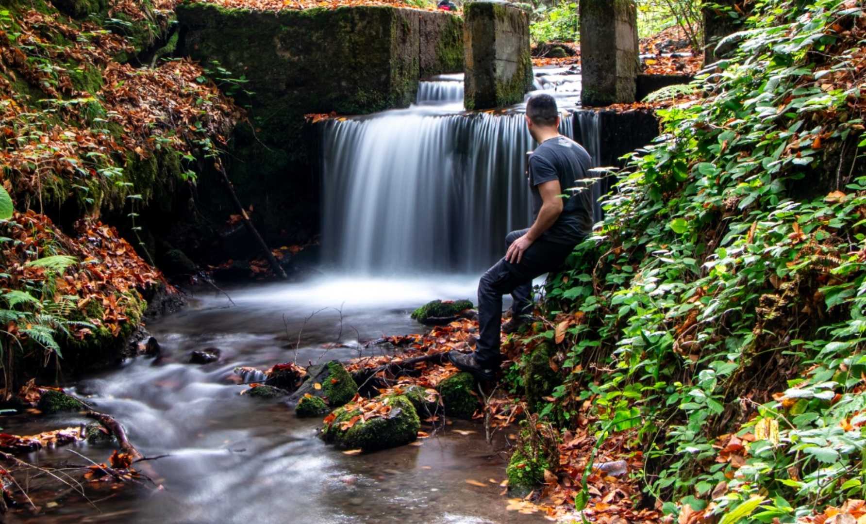 Nature 