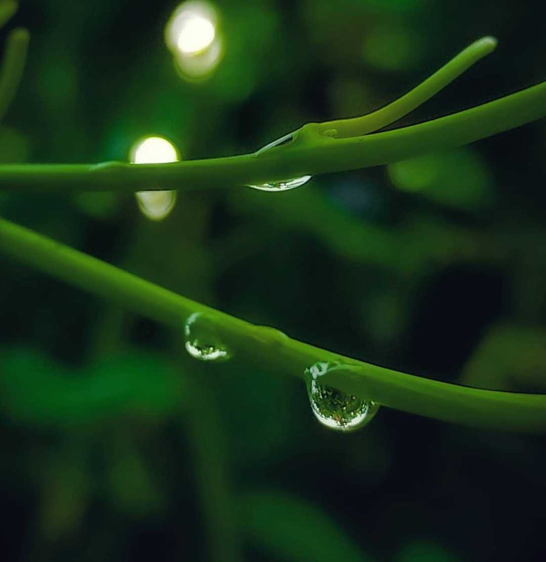 water drop