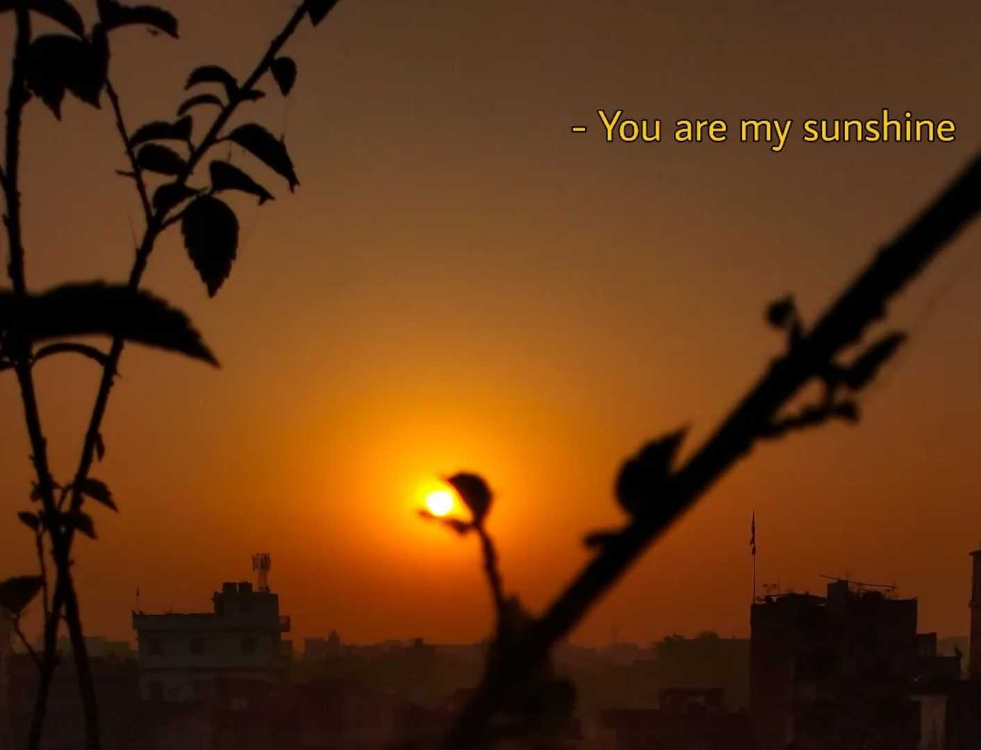 sunset 