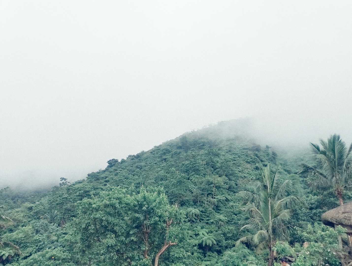 🍃⛰