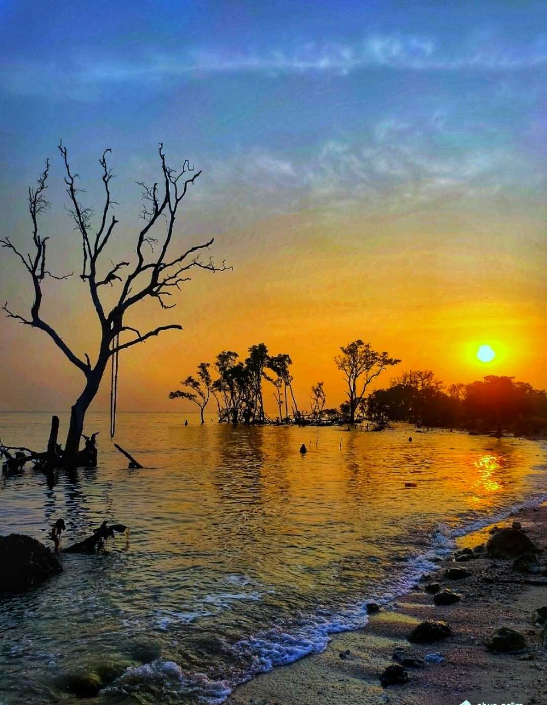 SUNRISE 