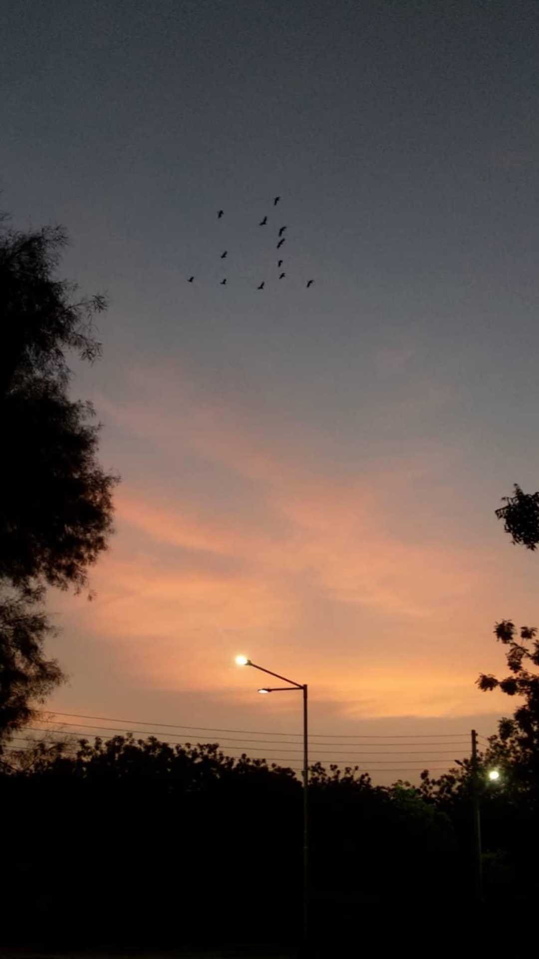 beautiful evening