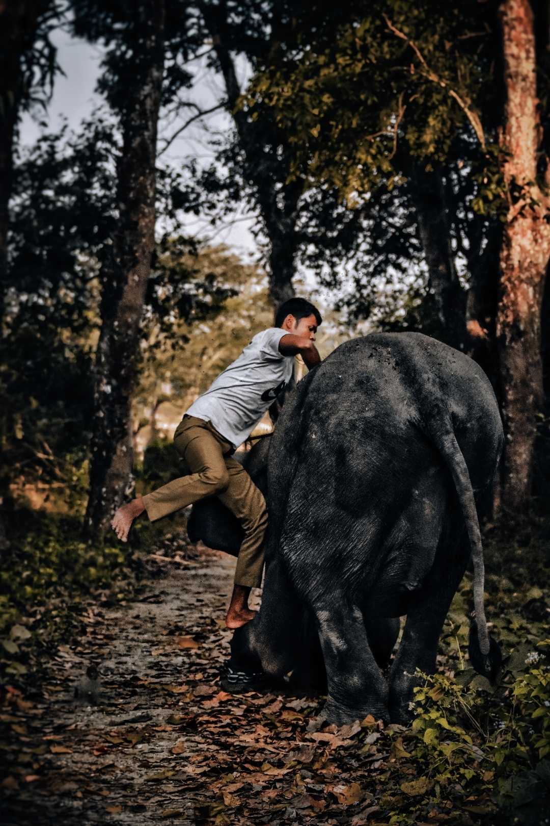 Let's go for a ride