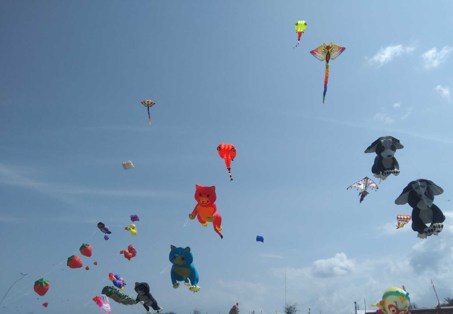 Jogja International Kite Festival