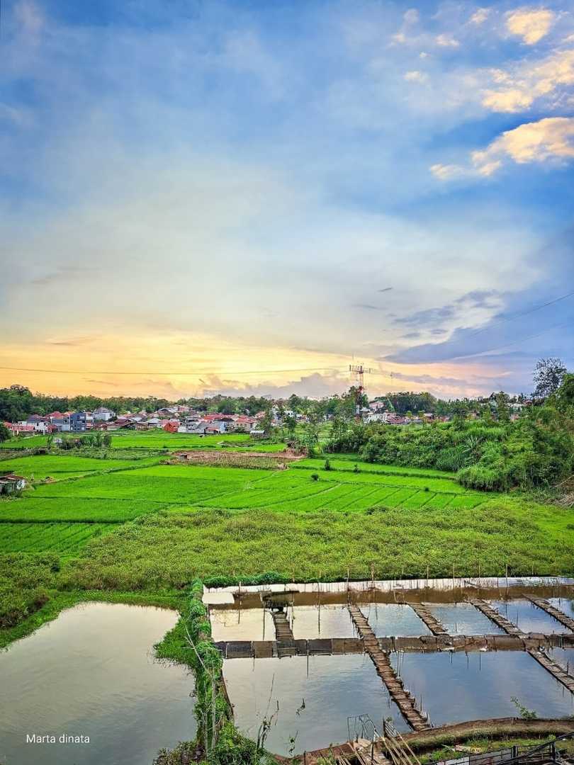 Senja Merona