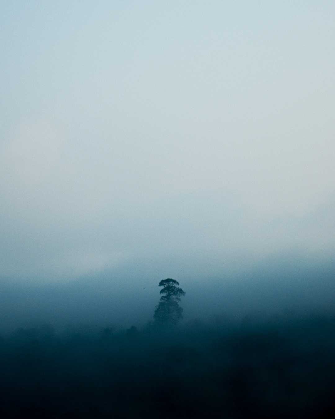 alone