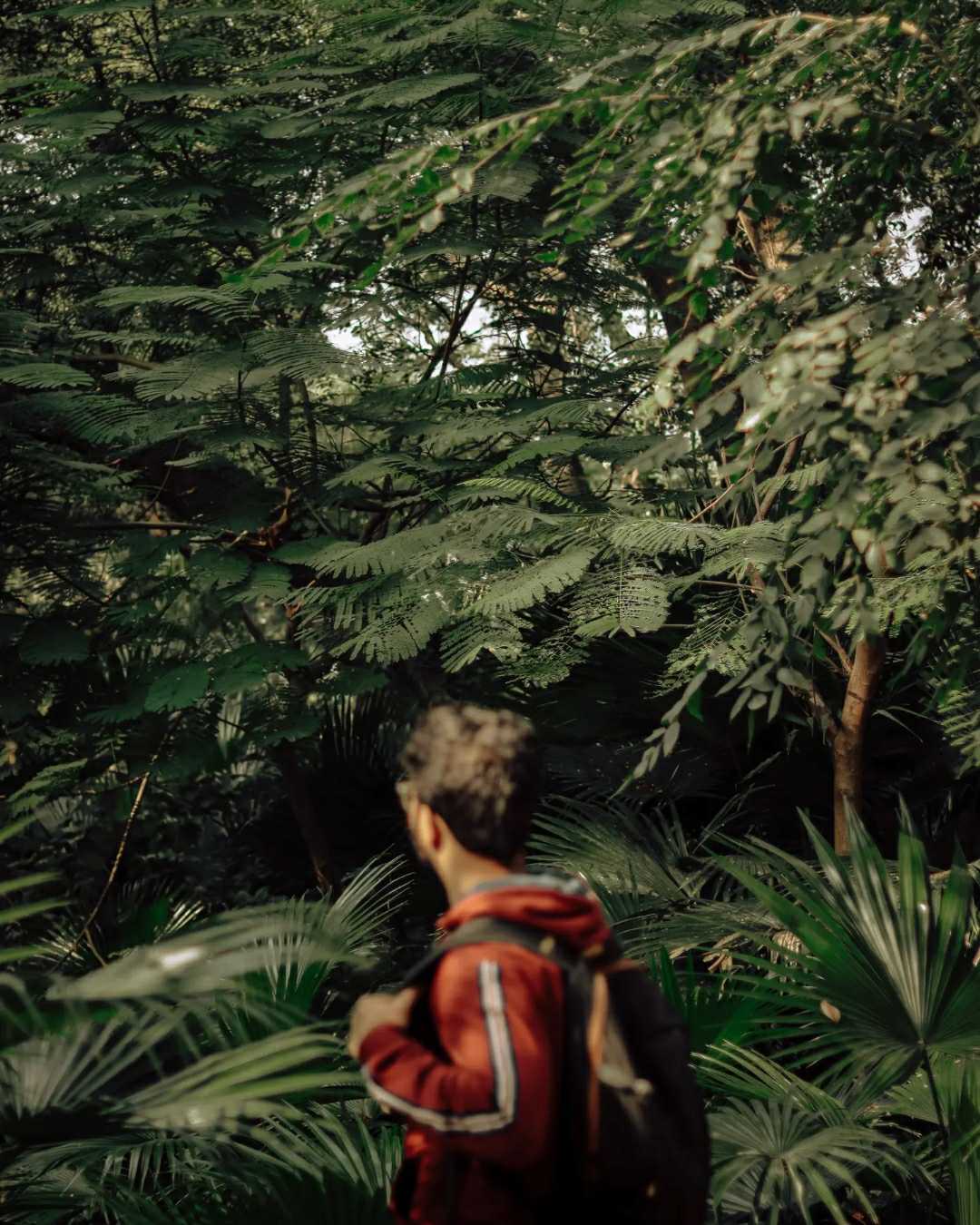 Finding tropical vibes 