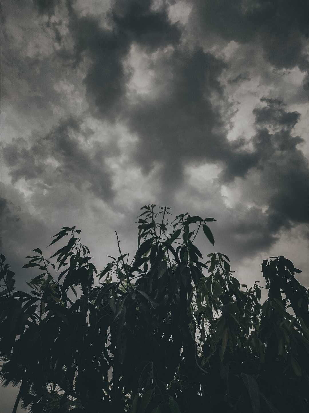Today's weather of Patna 