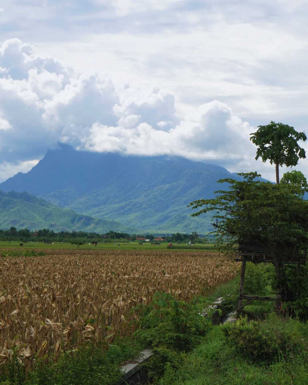 Gunung Putri Tidur