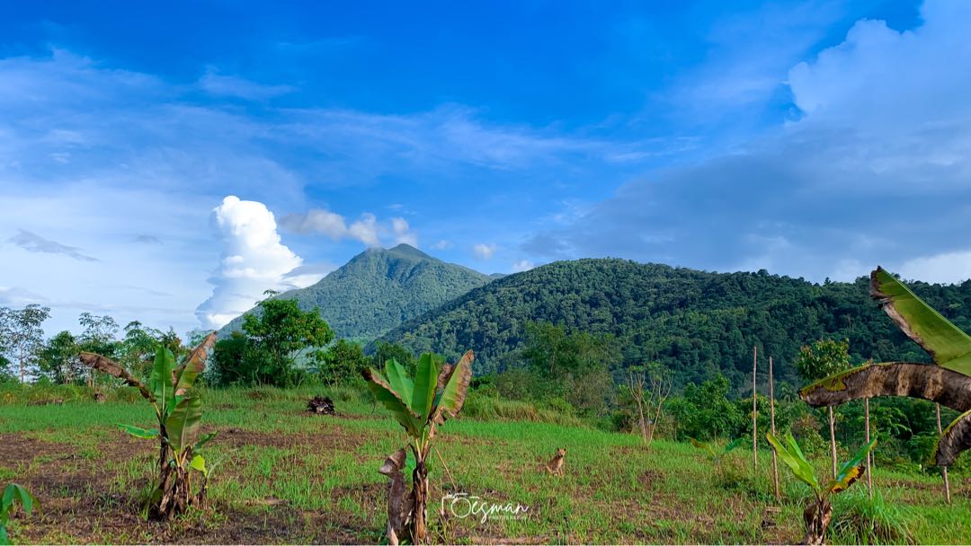Bukit Selemam - Natuna