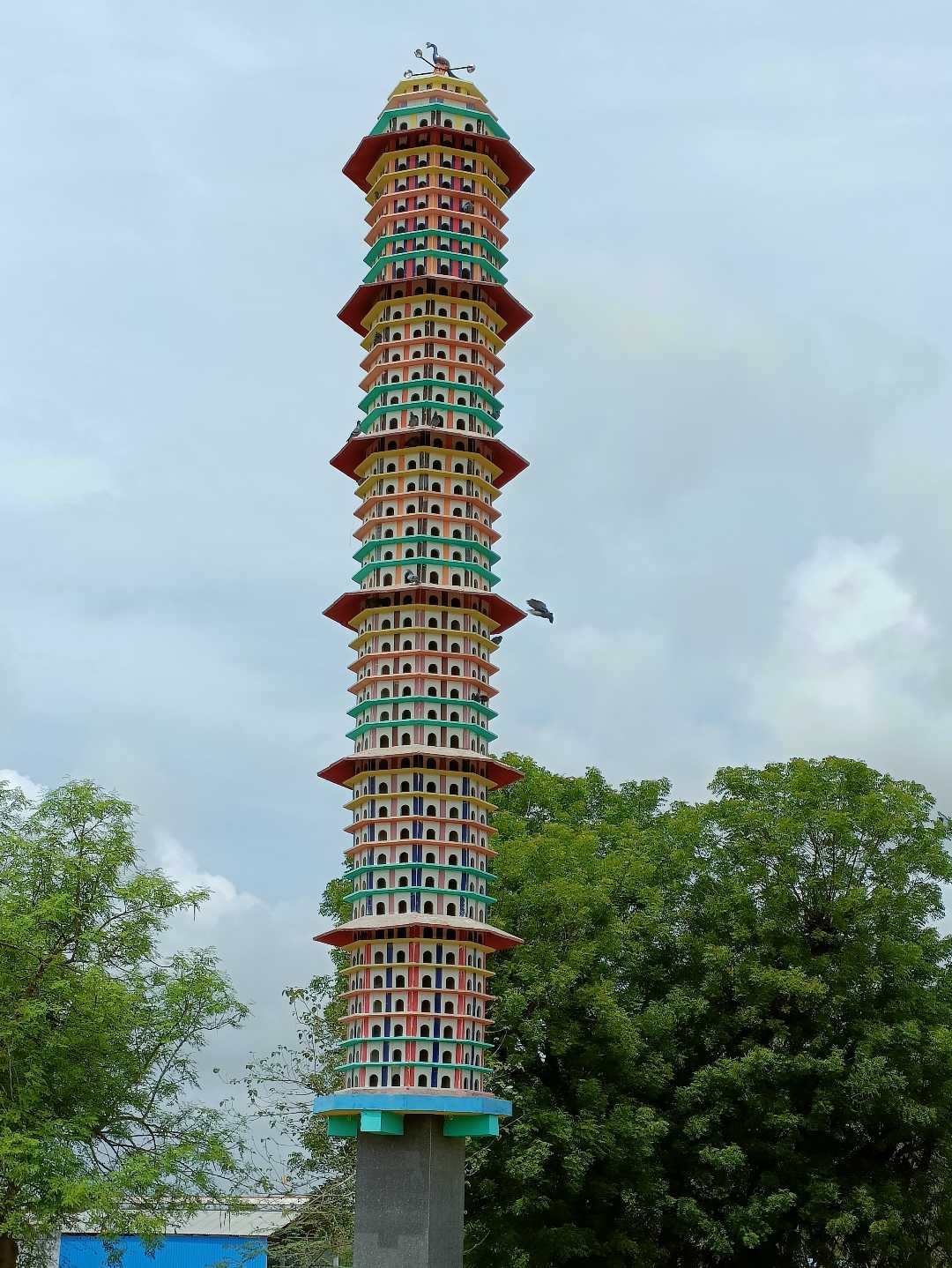 bird house 