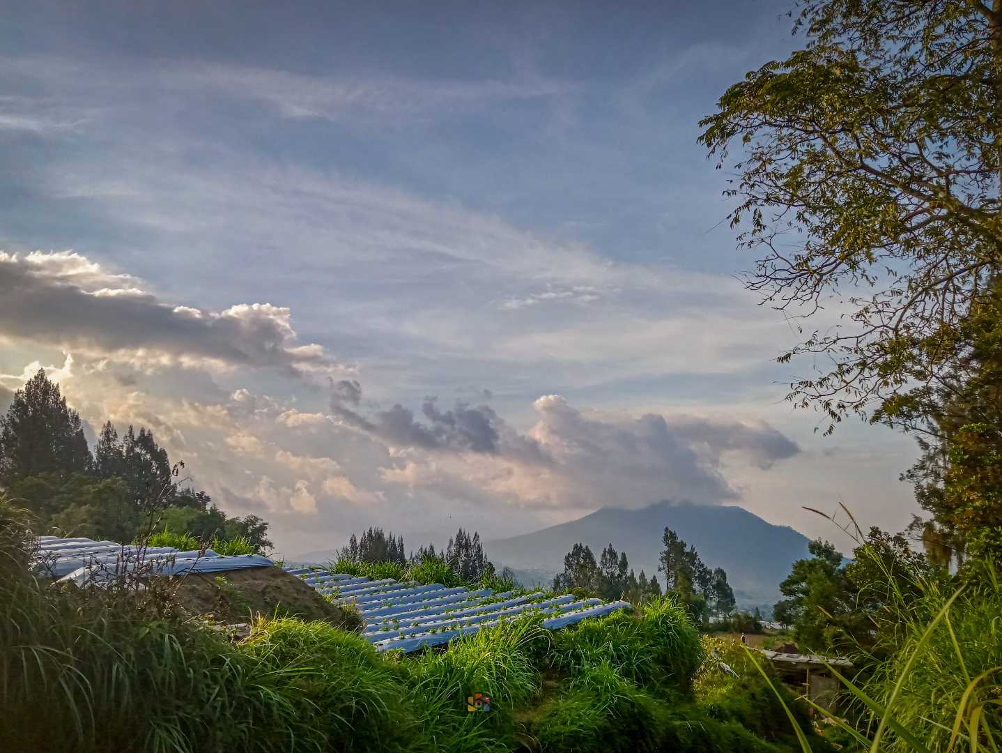 Tempat wisata Cuntel kopeng