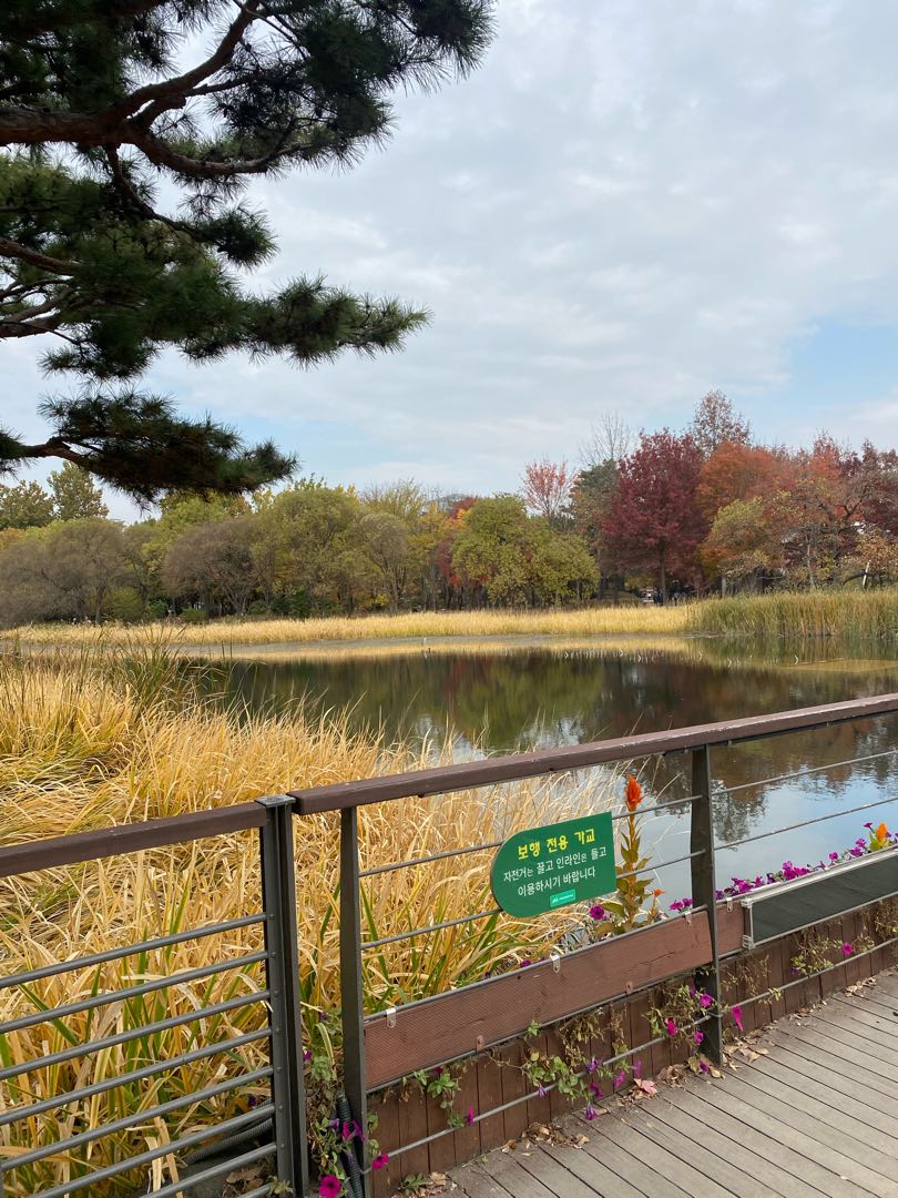 Central Park of Seoul 🫶🏼🤍