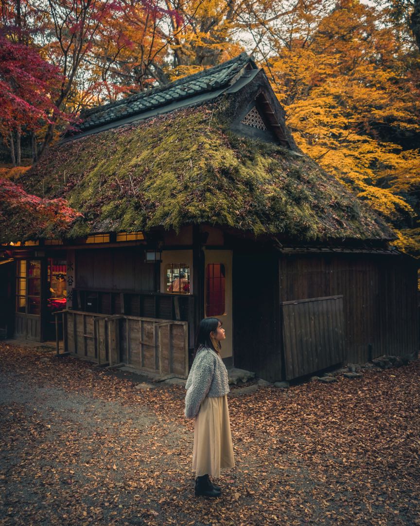 autumn vibes