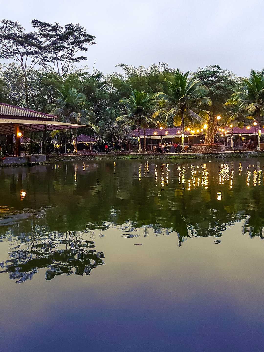 Reflection 