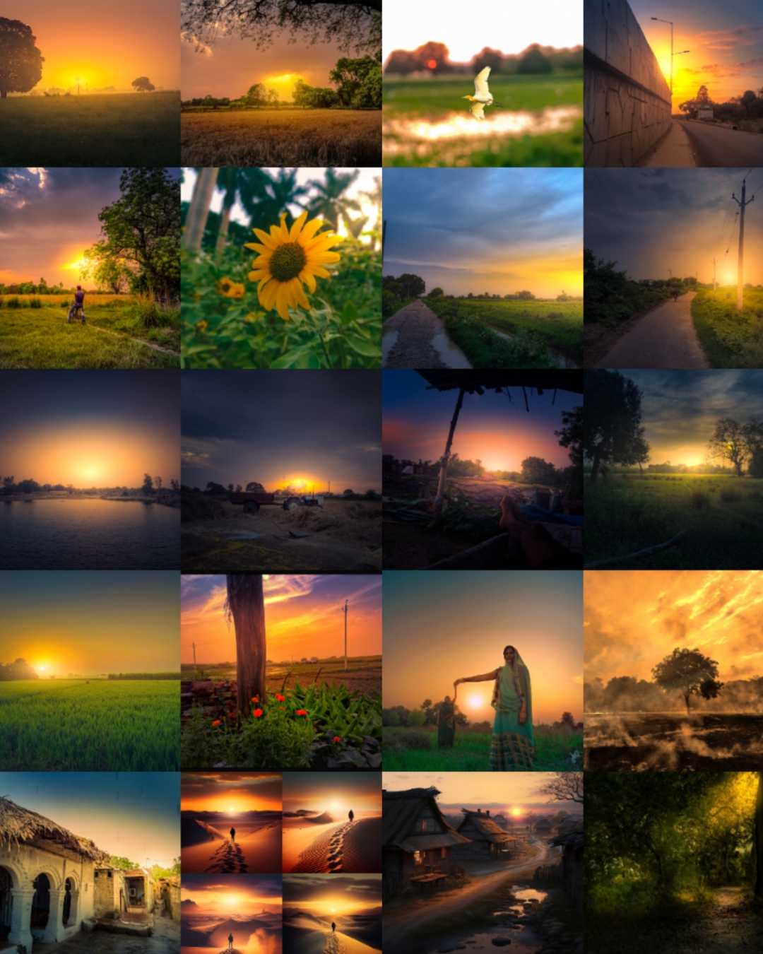 Collage of Sunset 
