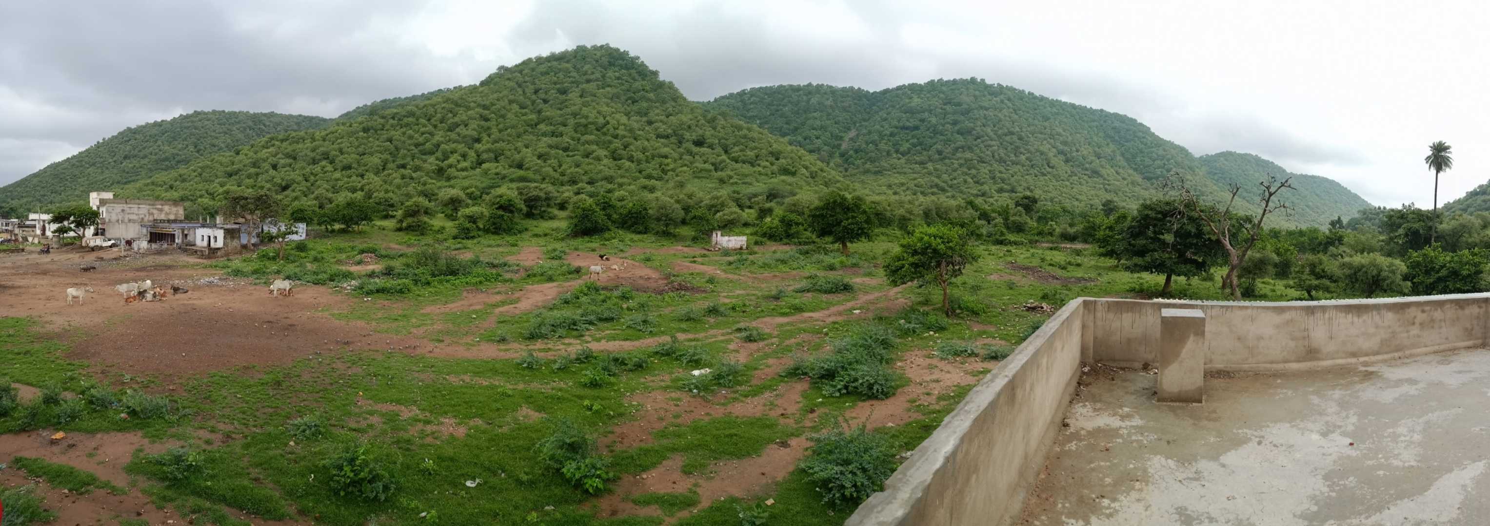 morning view Alwar