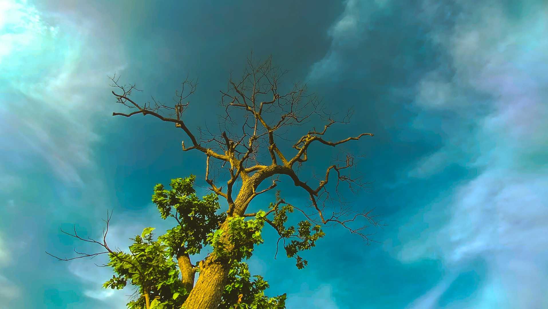 Summer to Monsoon 