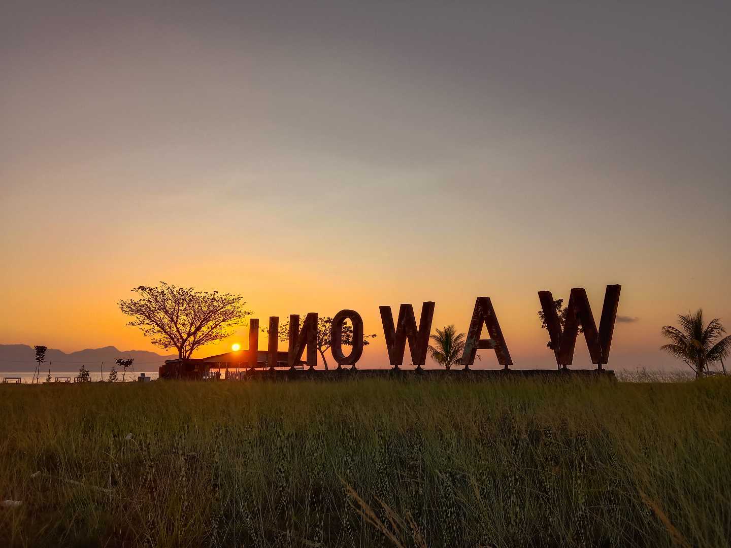 Wawonii