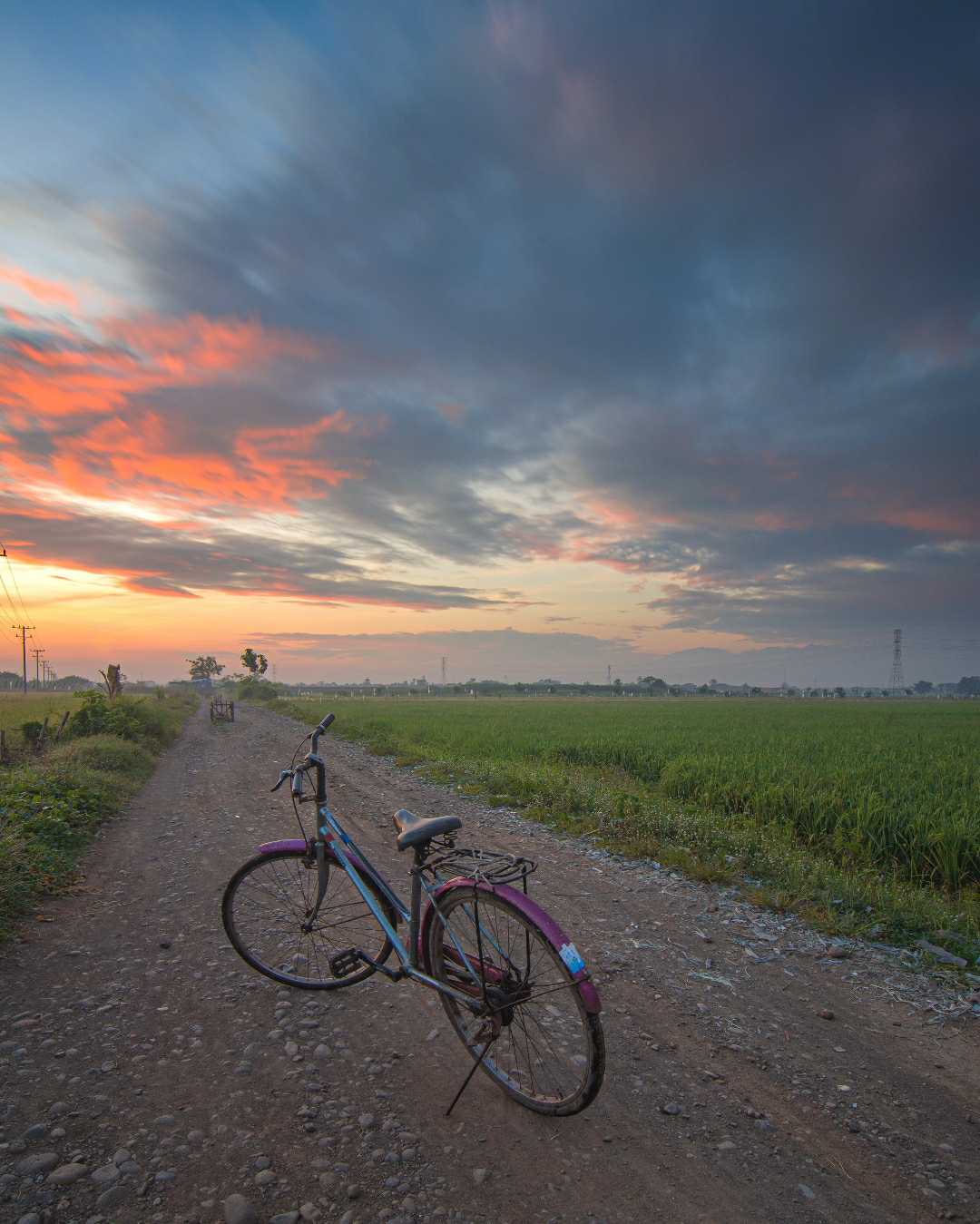 Gowes2 