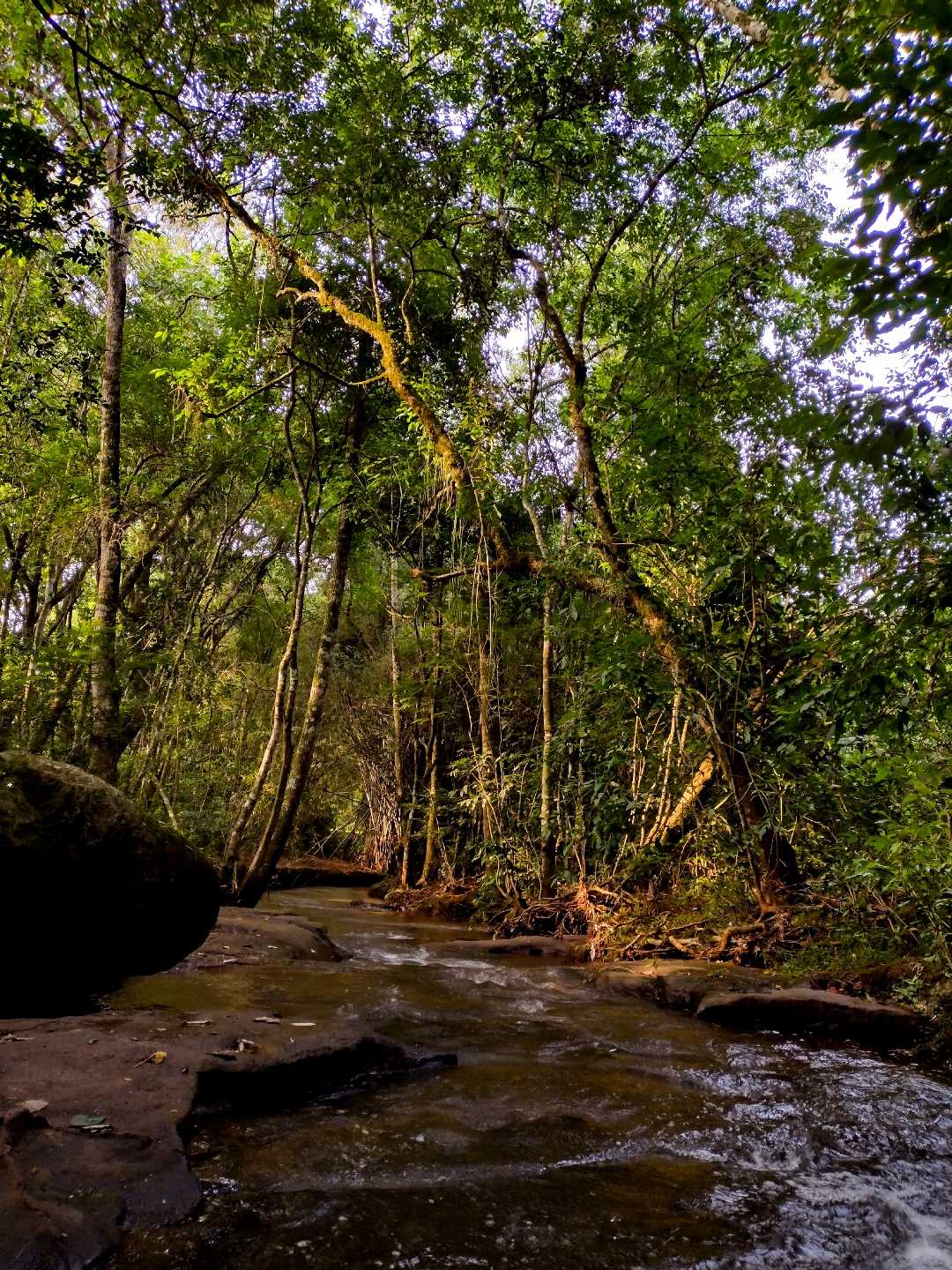 Reserva Natural 