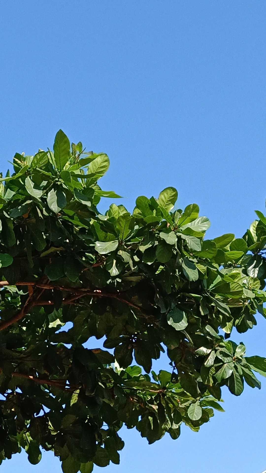 Just found peace 🕊️