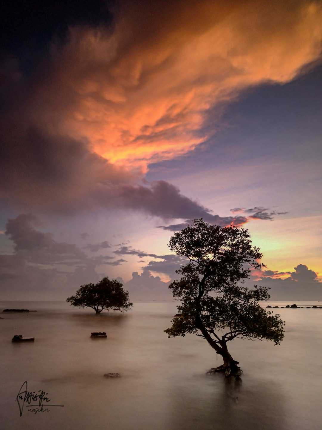 Pantai Pohon Jomblo PALANG